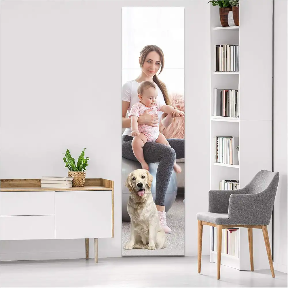 Frameless Mirror Full Length